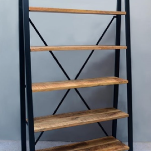 ספרייה עץ מנגו